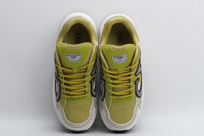 Dior B30 SNEAKER