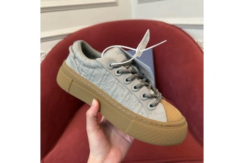 Dior B33 Sneaker (Women EU35-41)