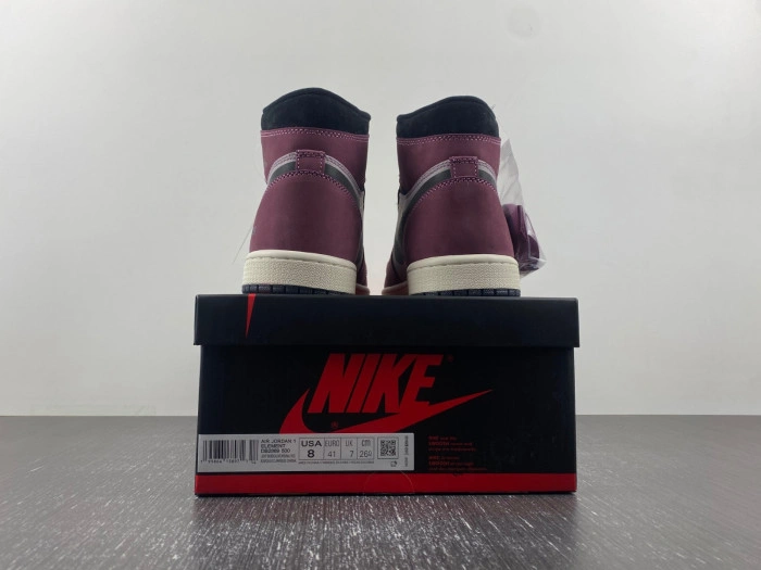 Jordan 1 High Element Gore-Tex Berry   DB2889-500