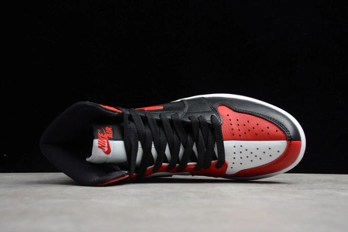 Jordan 1 Retro High Homage To Home 861428-061