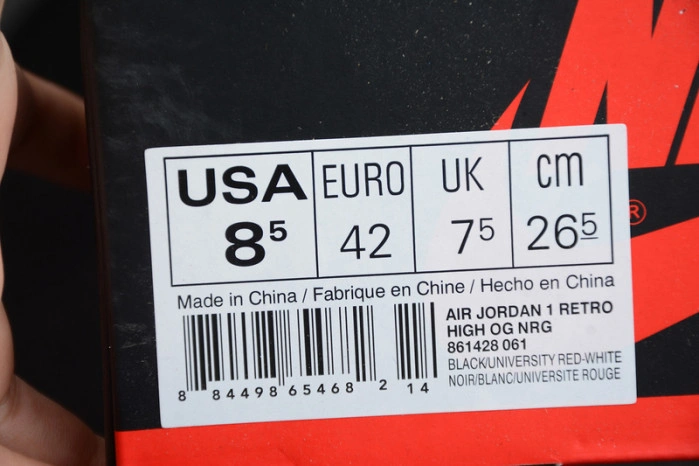 Jordan 1 Retro High Homage To Home 861428-061