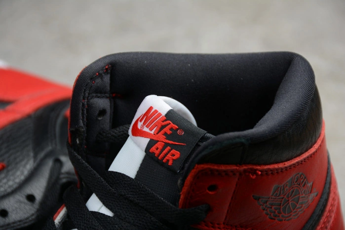 Jordan 1 Retro High Homage To Home 861428-061