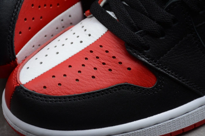 Jordan 1 Retro High Homage To Home 861428-061