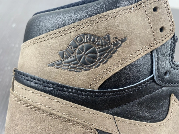 Jordan 1 Retro High OG Palomino    DZ5485-020