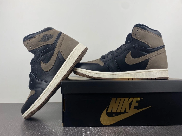 Jordan 1 Retro High OG Palomino    DZ5485-020