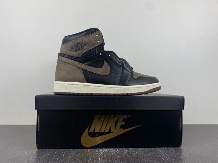 Jordan 1 Retro High OG Palomino    DZ5485-020