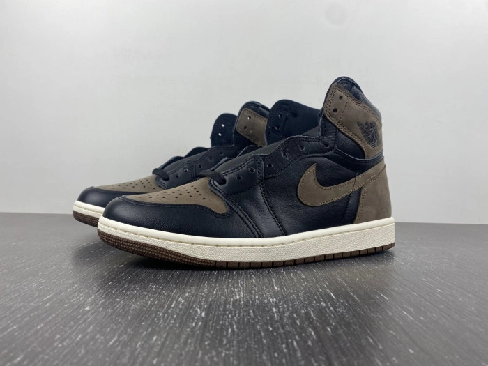 Jordan 1 Retro High OG Palomino    DZ5485-020