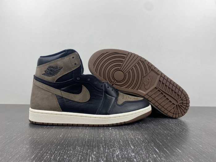 Jordan 1 Retro High OG Palomino    DZ5485-020