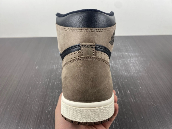 Jordan 1 Retro High OG Palomino    DZ5485-020