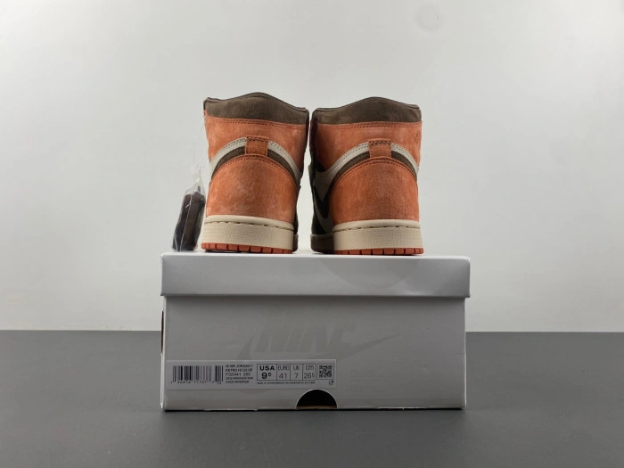 Jordan 1 Retro High OG SP Dusted Clay   FQ2941-200