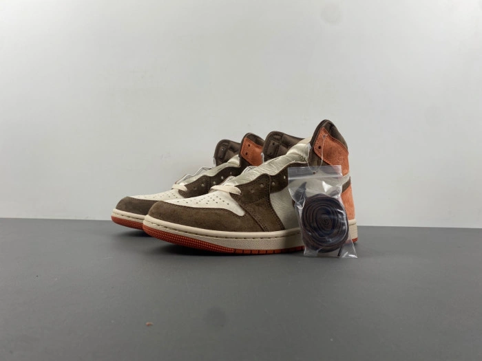 Jordan 1 Retro High OG SP Dusted Clay   FQ2941-200