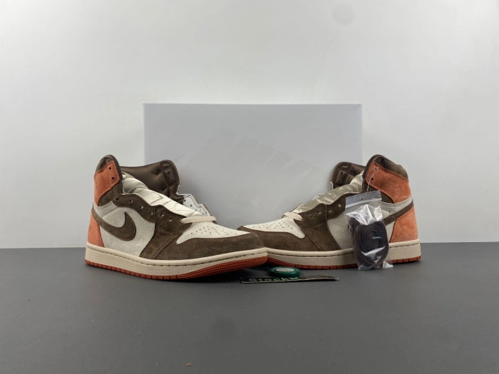 Jordan 1 Retro High OG SP Dusted Clay   FQ2941-200
