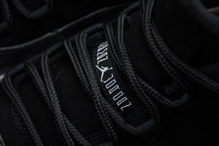 Jordan 11 Retro Low Barons  528895-010