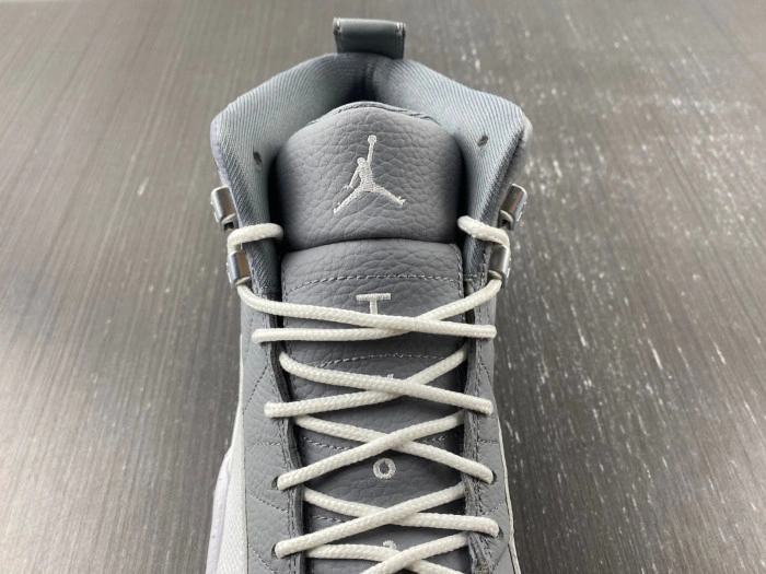 Jordan 12 Retro Stealth CT8013-015