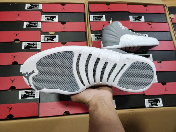 Jordan 12 Retro Stealth CT8013-015