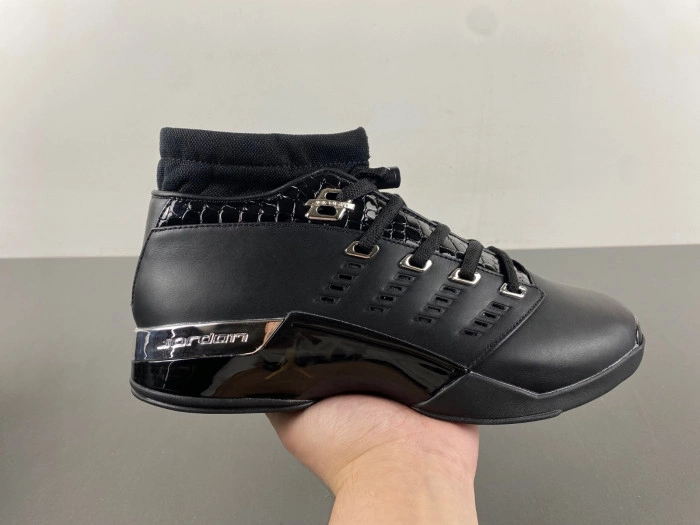 Jordan 17 Black Metallic Silver   303891-004