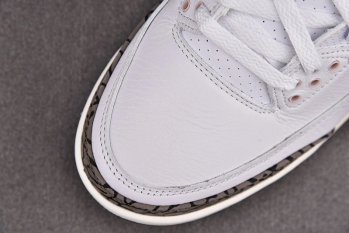 Jordan 3 Retro DarNeapolitan Dark Mocha (W) CK9246-102