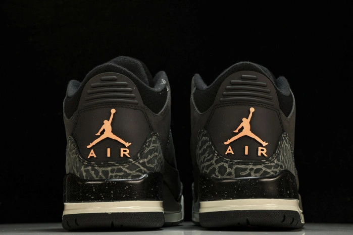 Jordan 3 Retro Fear (2023) CT8532-080