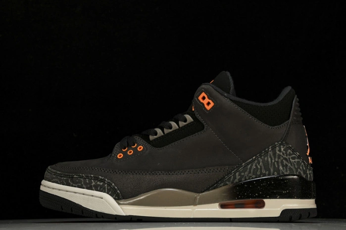 Jordan 3 Retro Fear (2023) CT8532-080