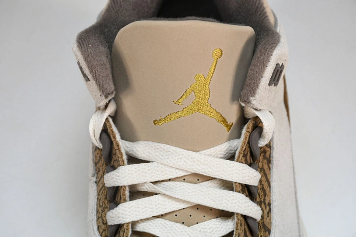 Jordan 3 Retro Palomino   CT8532-102