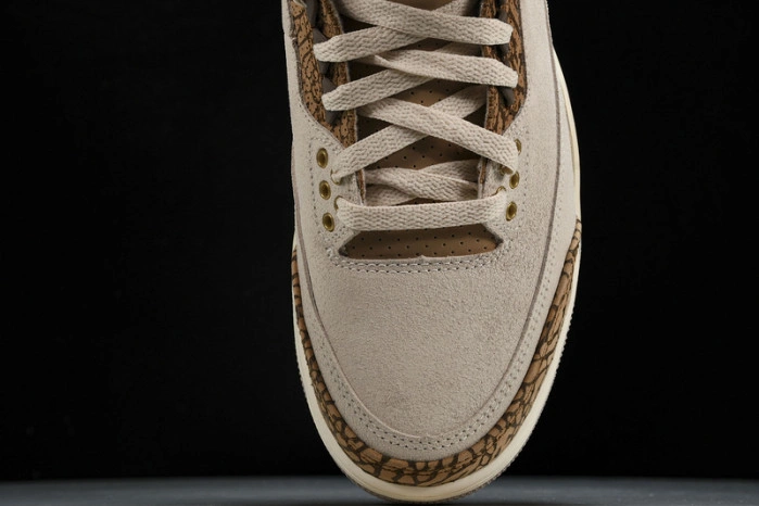 Jordan 3 Retro Palomino   CT8532-102