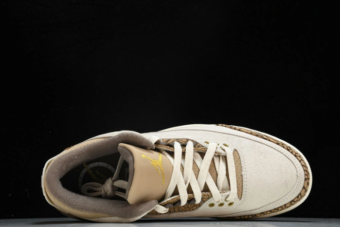 Jordan 3 Retro Palomino   CT8532-102