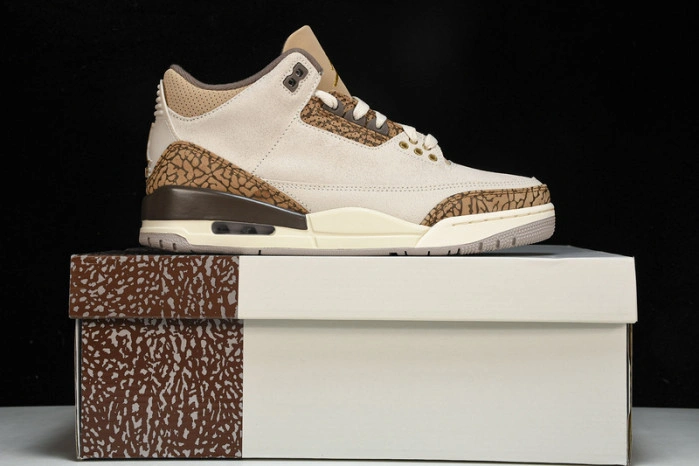 Jordan 3 Retro Palomino   CT8532-102