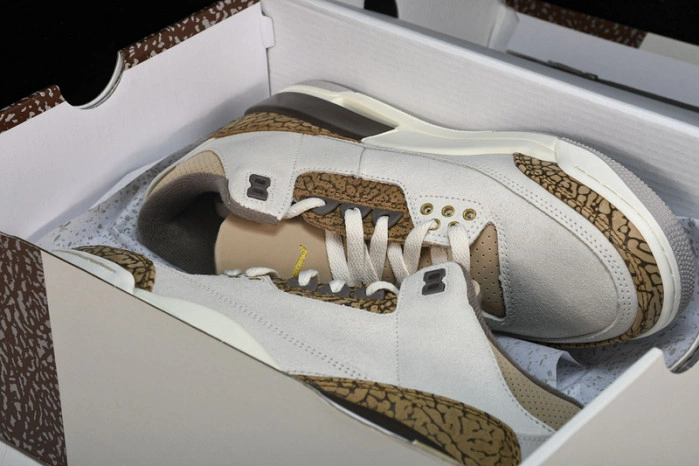 Jordan 3 Retro Palomino   CT8532-102