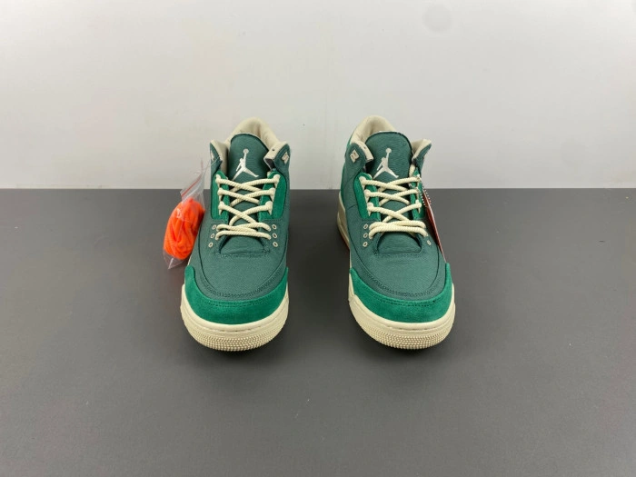 Jordan 3 Retro SP Nina Chanel Abney Bicoastal