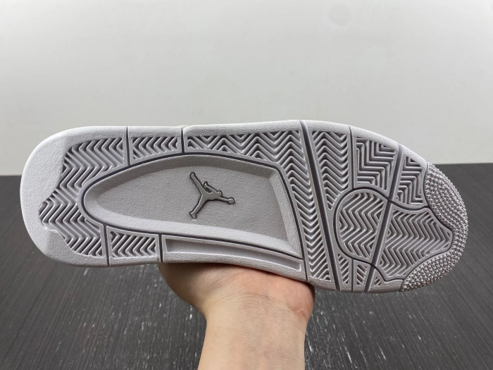 Jordan 4 Retro Snakeskin    819139-030