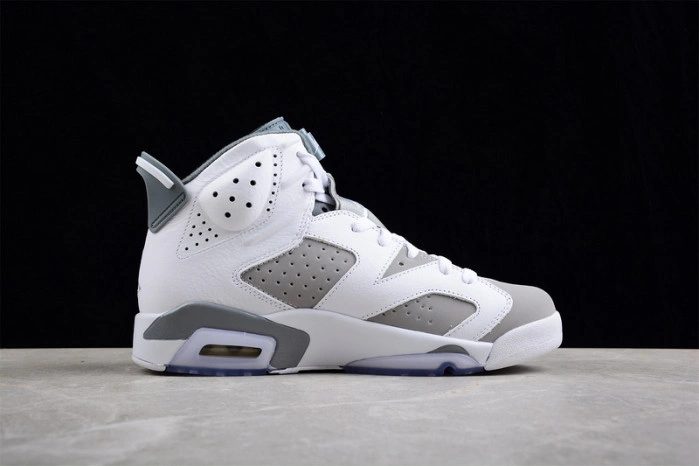Jordan 6 Retro Cool Grey CT8529-100