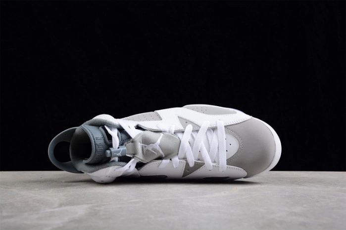 Jordan 6 Retro Cool Grey CT8529-100