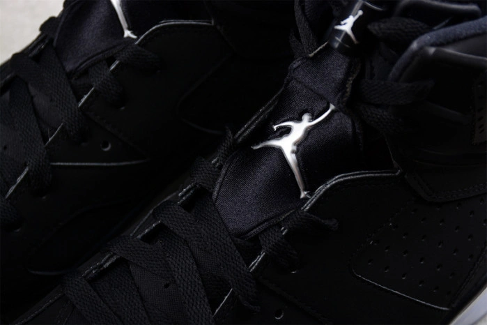 Jordan 6 Retro Metallic Silver DX2836-001