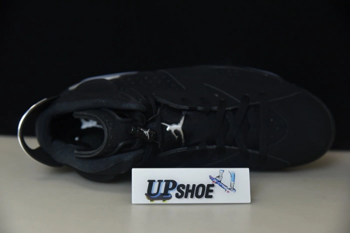 Jordan 6 Retro Metallic Silver DX2836-001
