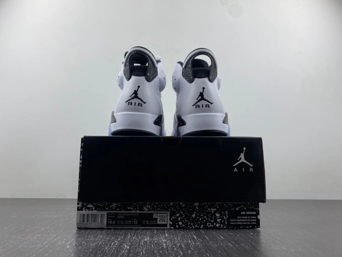 Jordan 6 Retro Reverse Oreo  CT8529-112