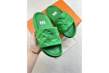 LV SLIDES