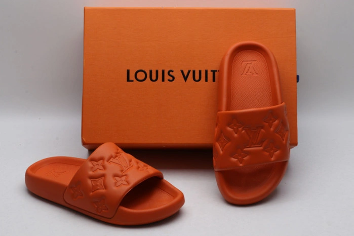 LV SLIDES