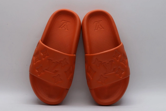 LV SLIDES