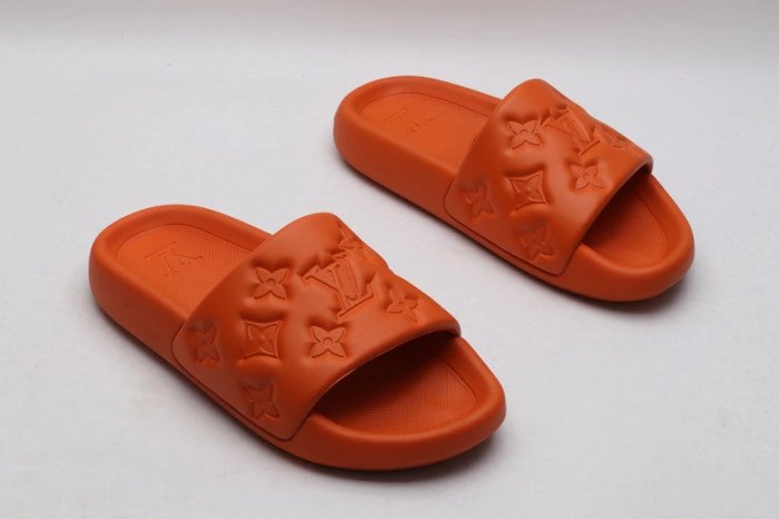 LV SLIDES