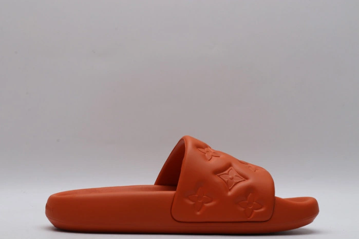 LV SLIDES