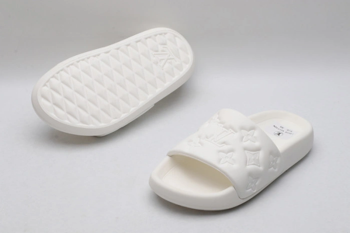 LV SLIDES