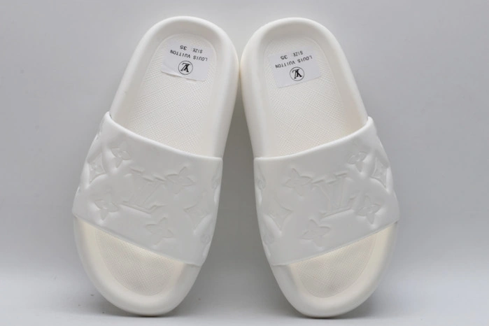 LV SLIDES