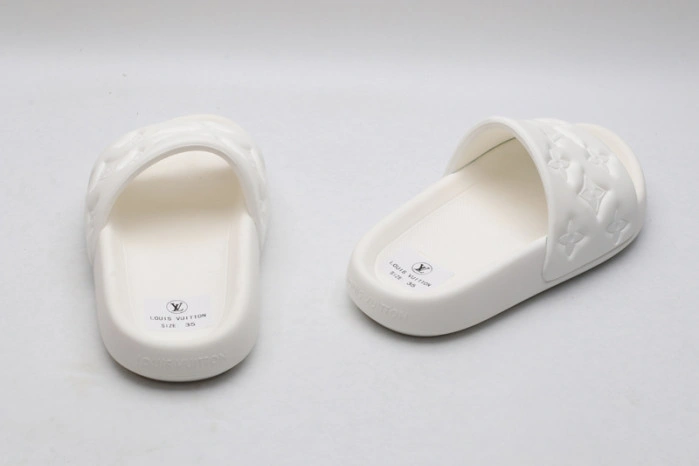 LV SLIDES