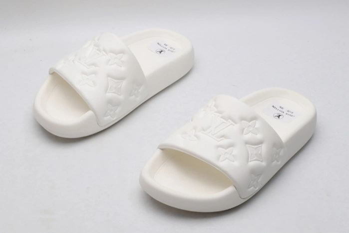 LV SLIDES