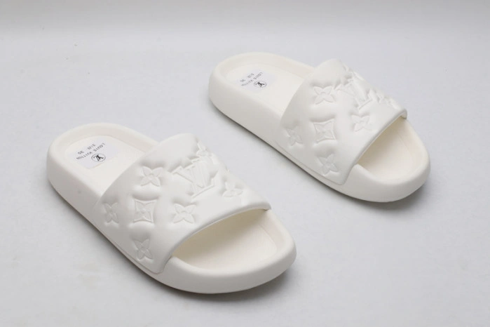 LV SLIDES