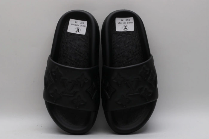 LV SLIDES
