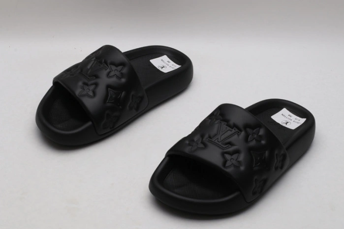 LV SLIDES