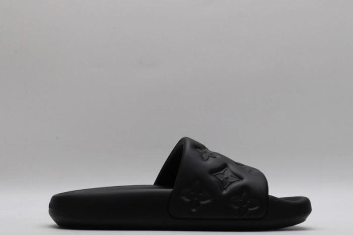 LV SLIDES