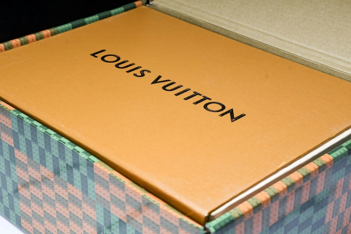 LV Skate Sneaker