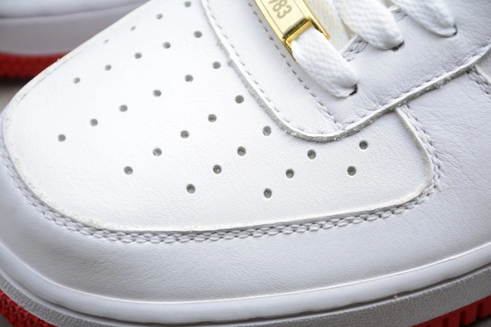 NIKE AIR FORCE 1 LOW FO FI FO AQ5107-100